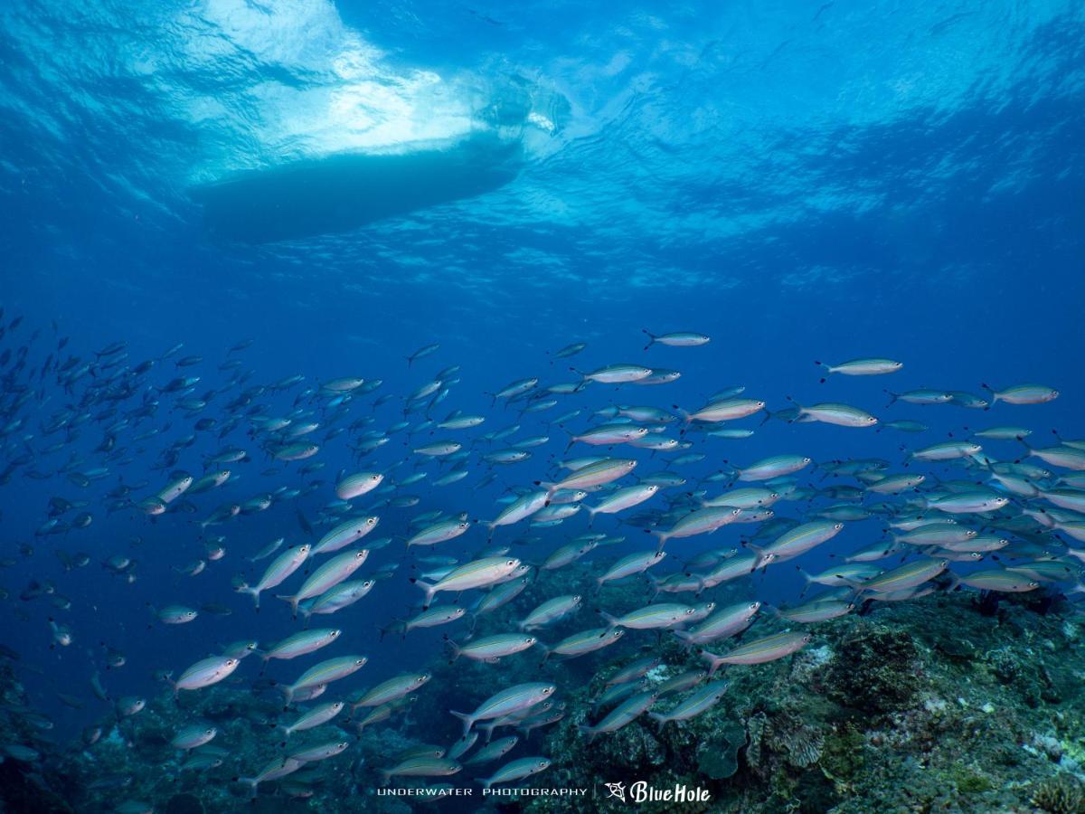 藍洞潛水blue Hole Dive Center Bed & Breakfast Heng-ch'un Eksteriør bilde
